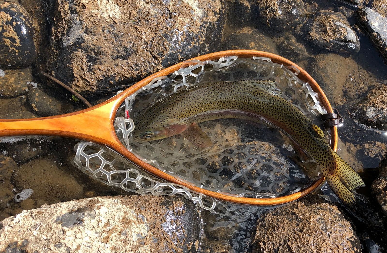 Landing Net Bags: Selected wisdom and opinion - Nets that Honor