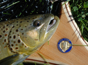 Brown trout laying on custom landing net handle with medallion inset.