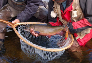 Two fishermen holding a brook trout over a large landing net with white net bag.
